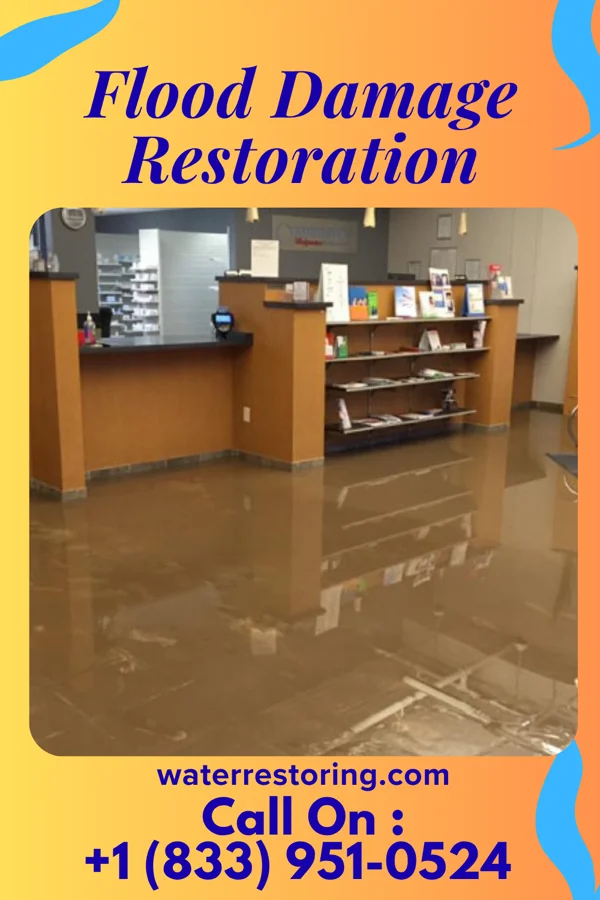 Flood Damage Restoration in Sycamore, IL